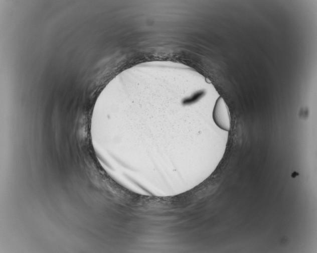 X0000112490962200909281129