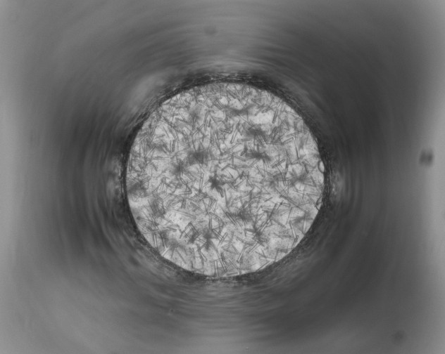 X0000112490964200909281129