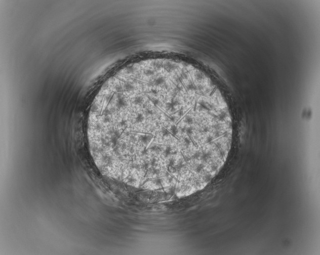 X0000112490968200909281129