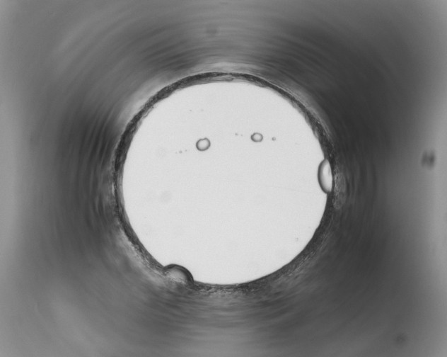 X0000112490972200909281129