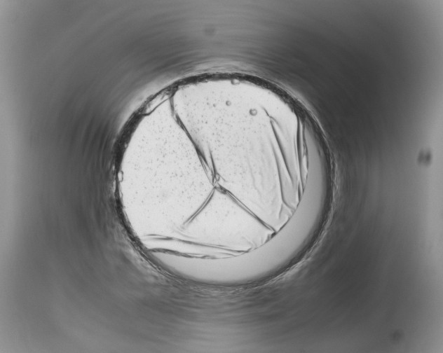 X0000112490973200909281129