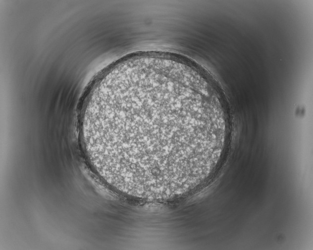 X0000112490974200909281129