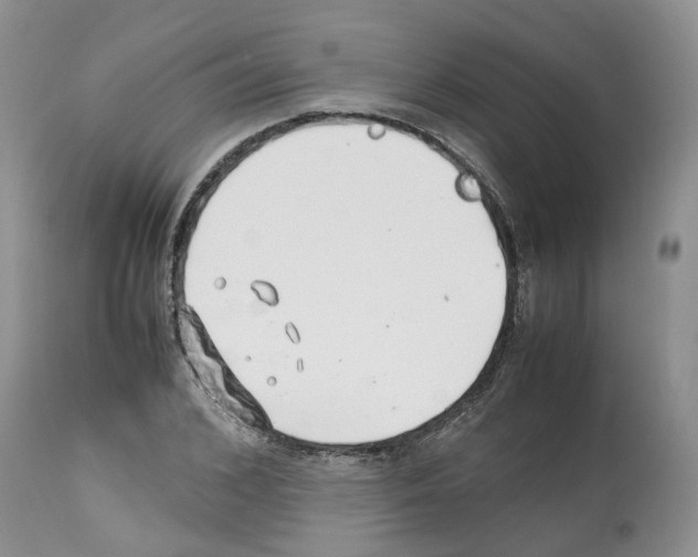 X0000112490976200909281129