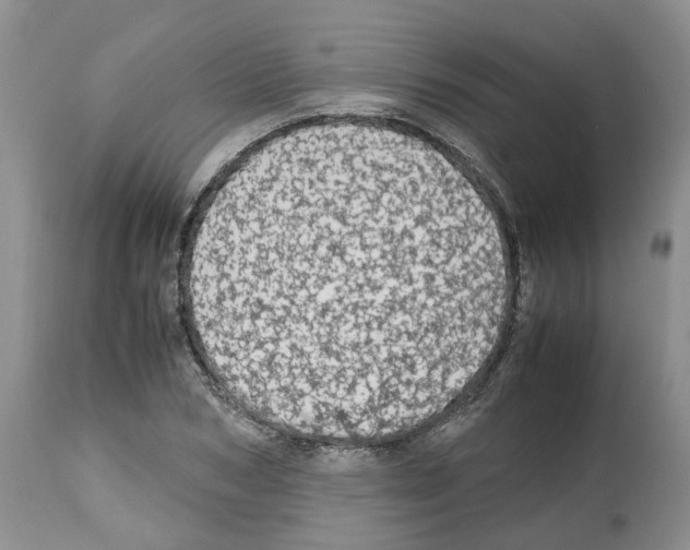 X0000112490978200909281129