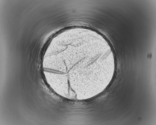 X0000112490979200909281129