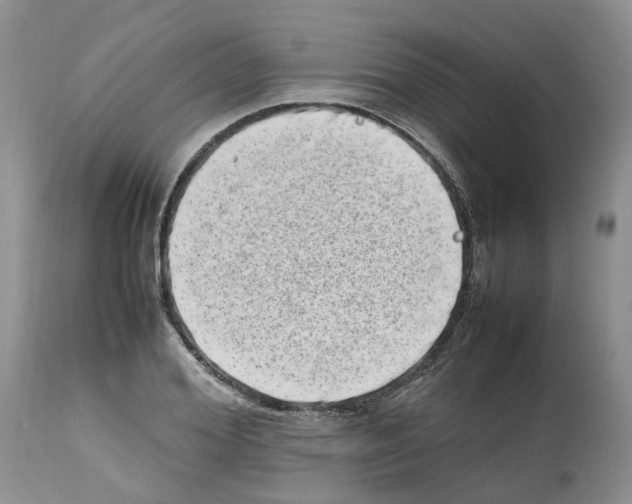 X0000112490980200909281129