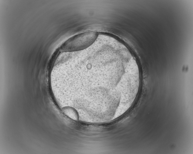 X0000112490981200909281129