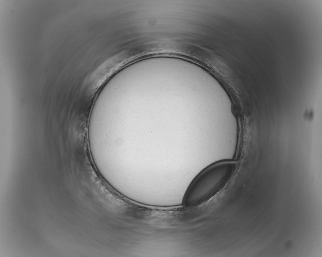 X0000112490985200909281129
