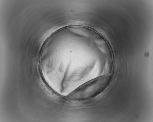 X0000112490989200909281129