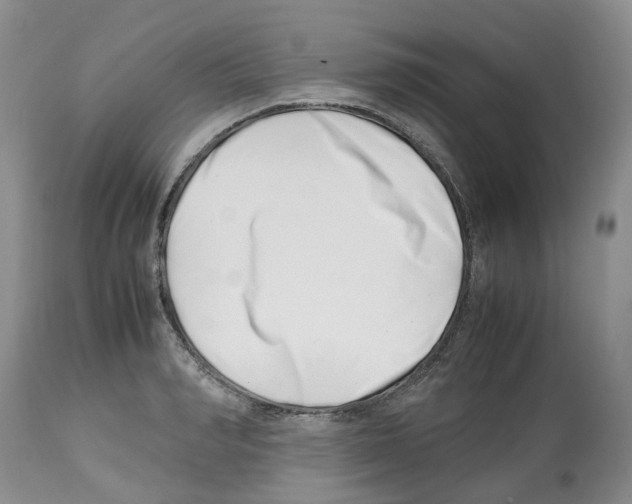 X0000112490990200909281129