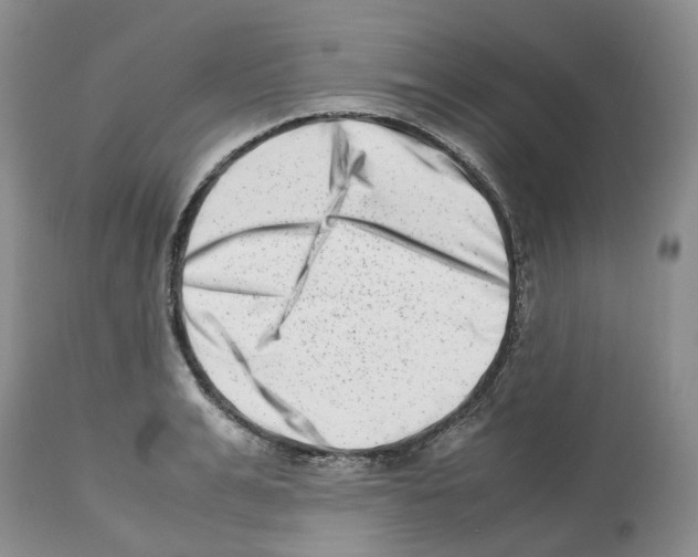 X0000112490991200909281128