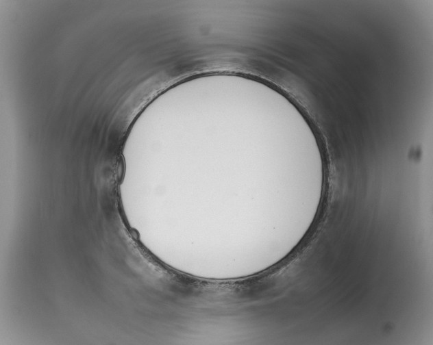 X0000112490993200909281128