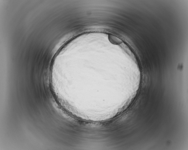 X0000112490994200909281128