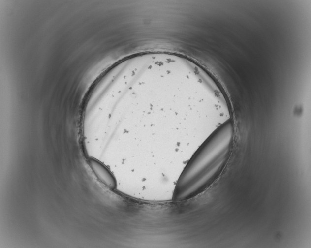 X0000112490997200909281128