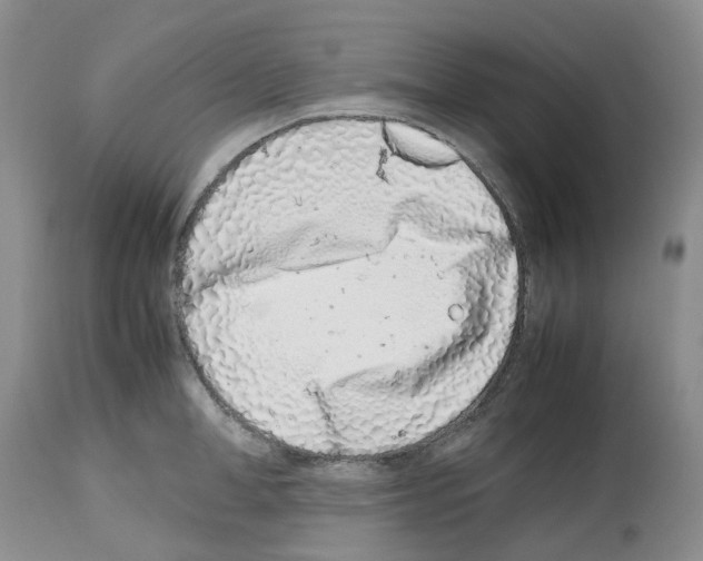 X0000112490998200909281128