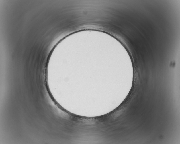 X0000112490999200909281128