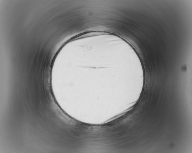 X0000112491000200909281128