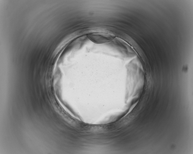 X0000112491002200909281128
