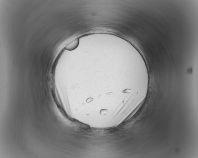 X0000112491003200909281128