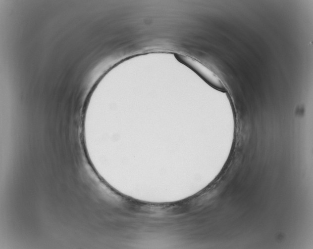 X0000112491005200909281128