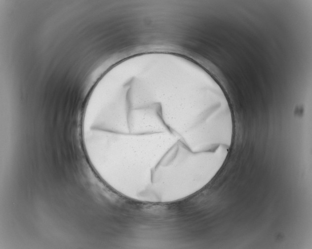 X0000112491006200909281128