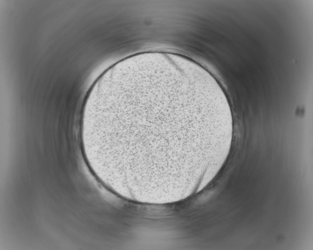 X0000112491007200909281128