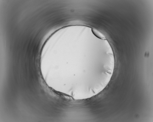 X0000112491008200909281128