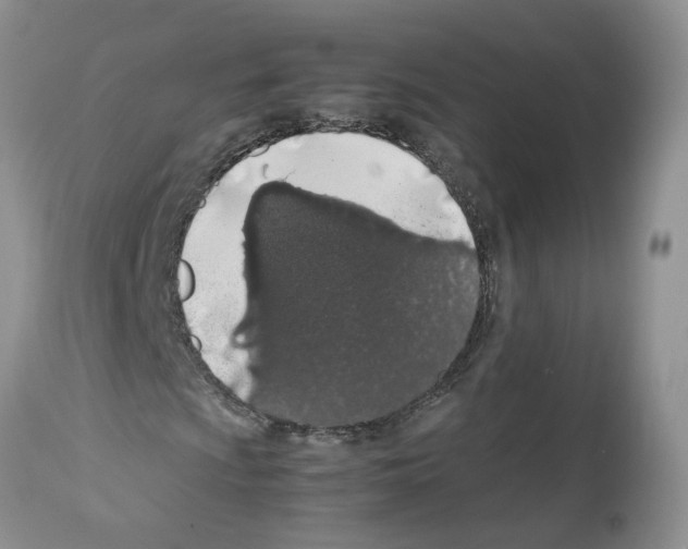 X0000112491009200909281127