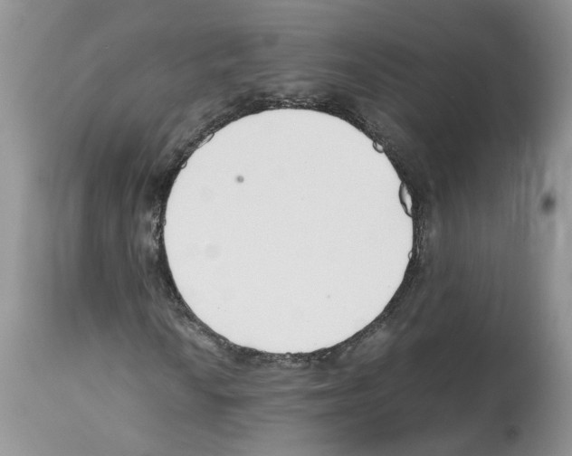 X0000112491010200909281127