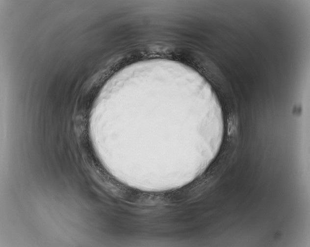 X0000112491011200909281127