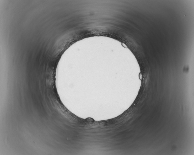X0000112491012200909281127