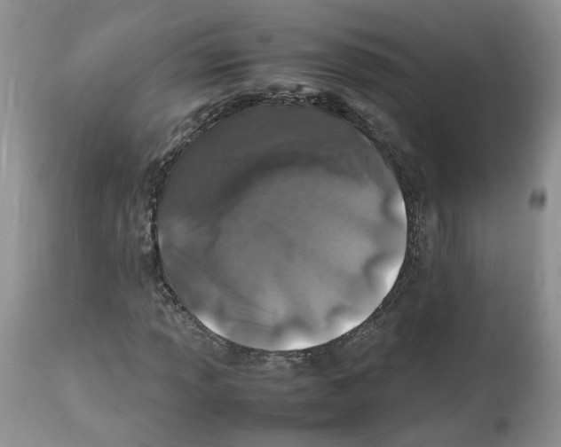 X0000112491013200909281127