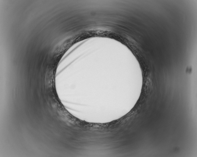 X0000112491014200909281128