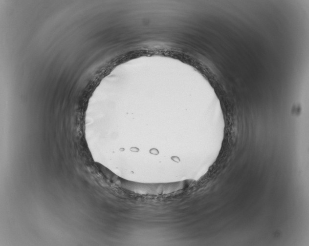 X0000112491016200909281128