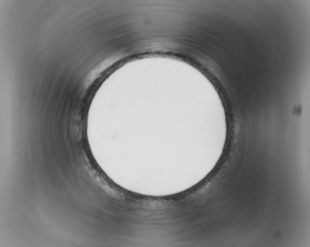 X0000112491018200909281128