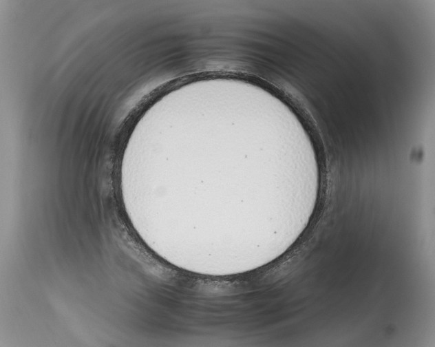 X0000112491019200909281128