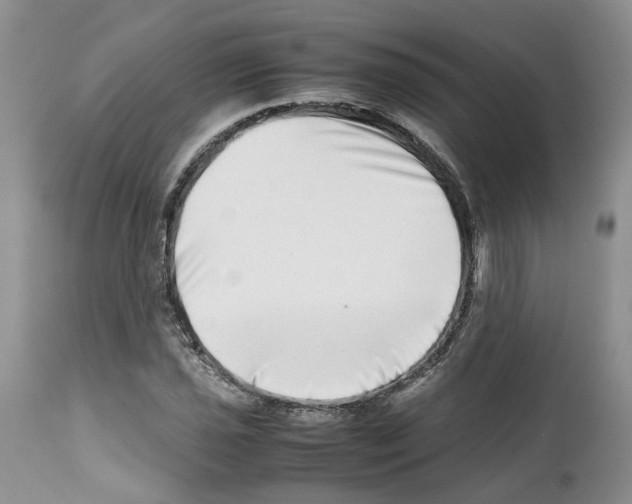 X0000112491021200909281128