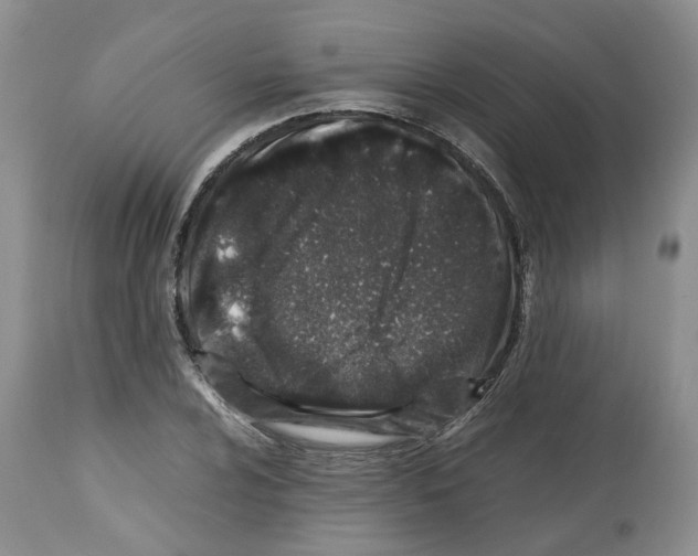 X0000112491024200909281128