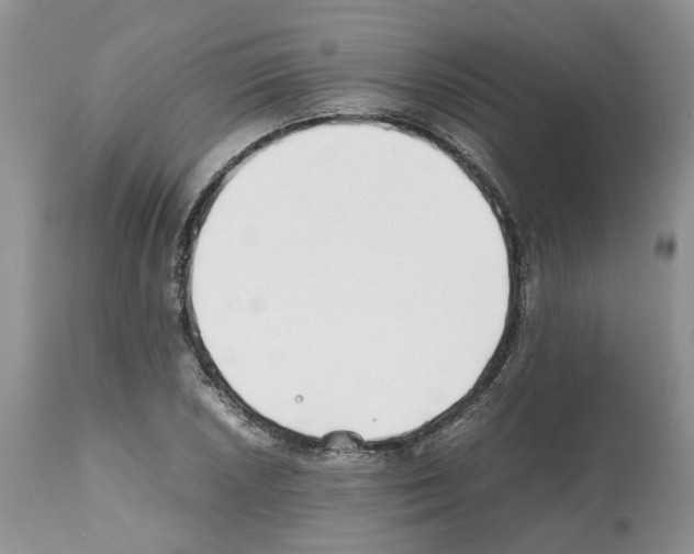 X0000112491026200909281128