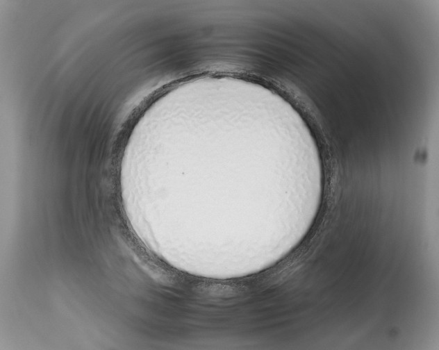 X0000112491027200909281128