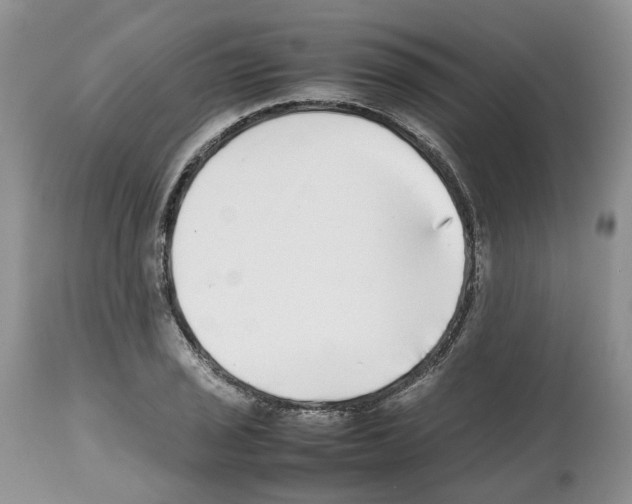 X0000112491029200909281128
