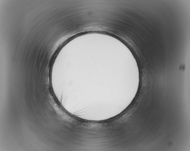X0000112491030200909281128