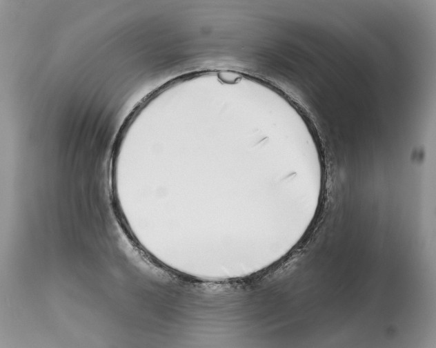 X0000112491032200909281128