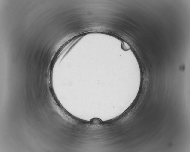 X0000112491034200909281128