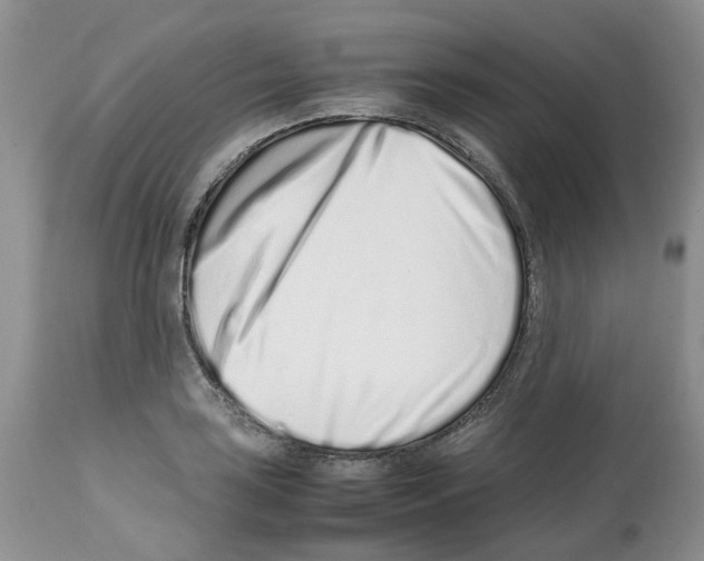 X0000112491035200909281128