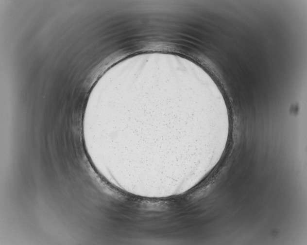 X0000112491041200909281128