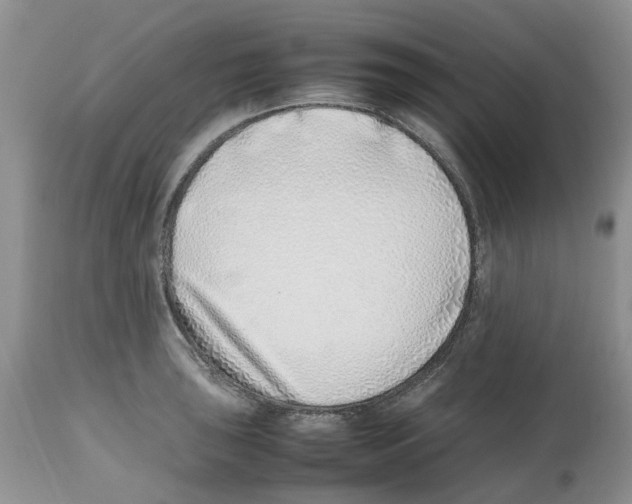 X0000112491043200909281128