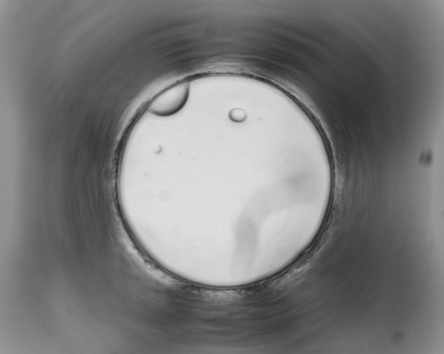 X0000112491045200909281128