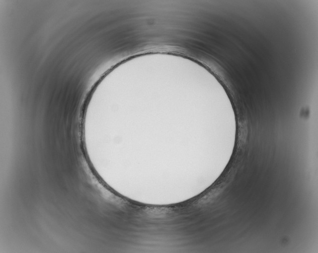 X0000112491046200909281128
