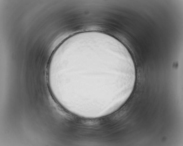 X0000112491047200909281128